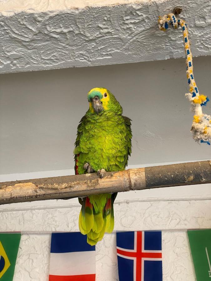 Hostel Maresias Do Leme Rio de Janeiro Ngoại thất bức ảnh